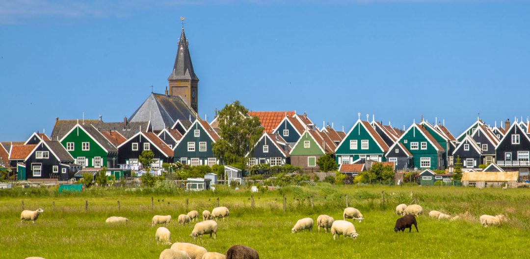 Hollandvillagetours Looking for a unique way to experience